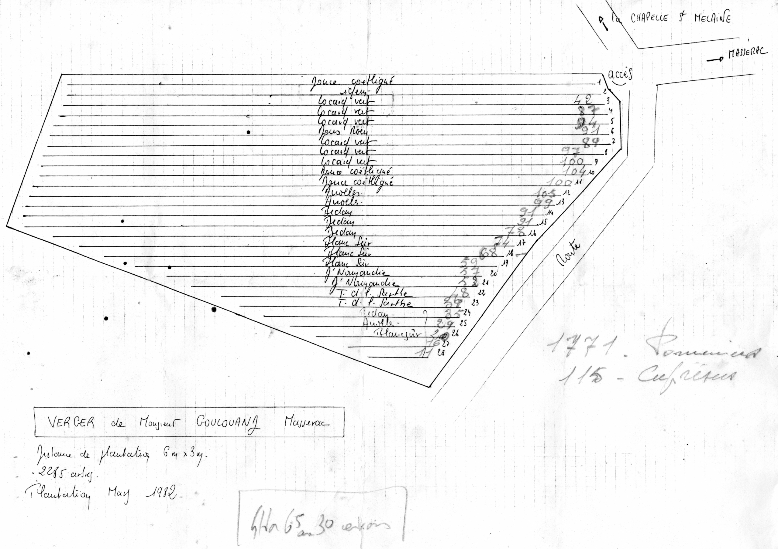 Plan du verger